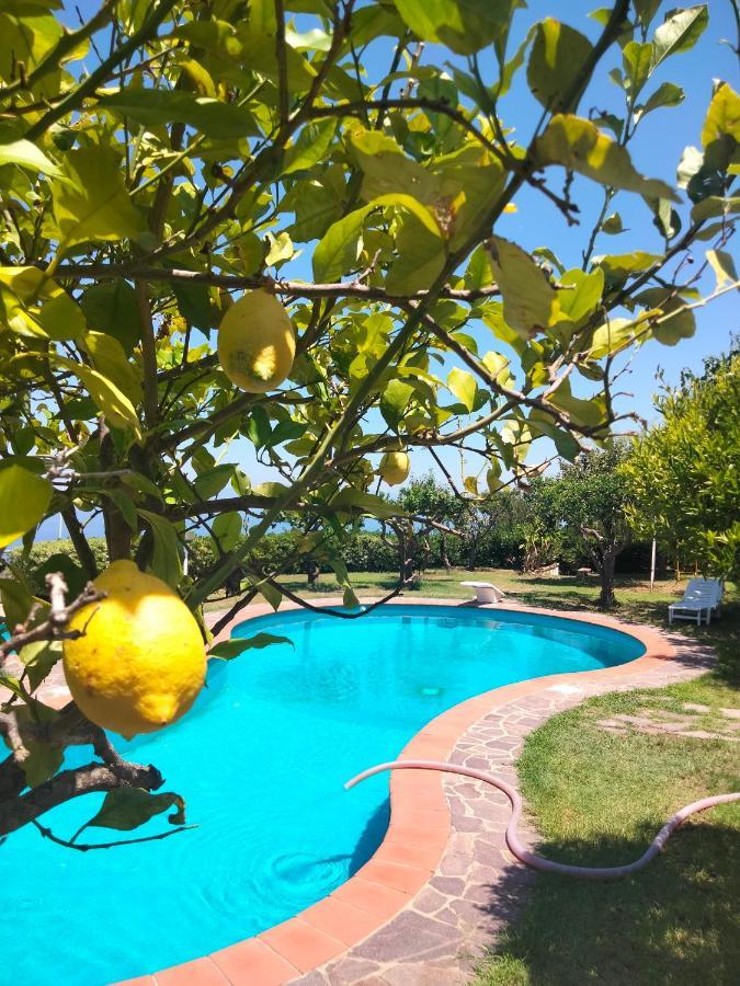 Casa Morello Zambrone Kültér fotó