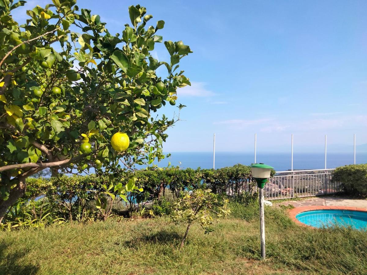 Casa Morello Zambrone Kültér fotó